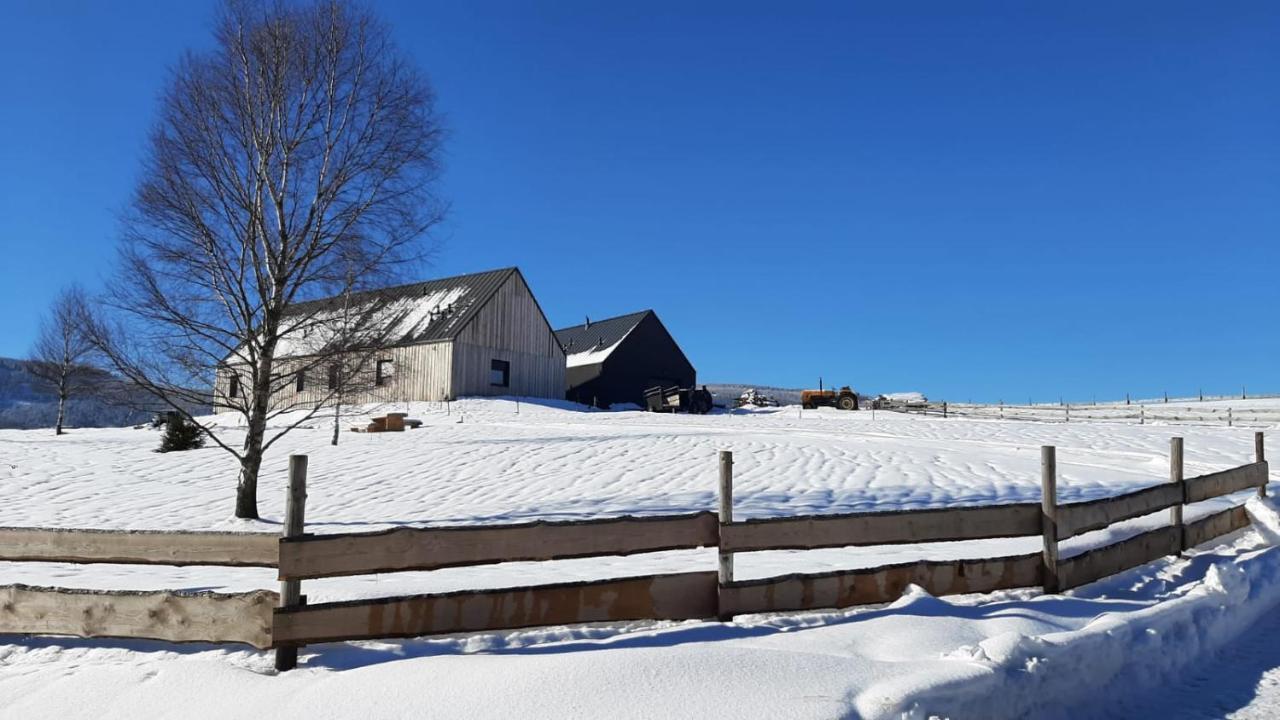 Wzgorze Owiec Sheep Hill Mostowice Kültér fotó
